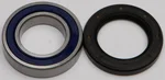 ALL BALLS - 25-1118 - All Balls Wheel Bearing Kits