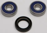ALL BALLS Racing 25-1170 Drive Wheel Bearing Kit - Durable, High-Performance Replacement for Powersports Vehicles