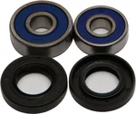 All Balls Racing 25-1181 Drive Wheel Bearing Kit - Durable, High-Performance Replacement for Powersports Vehicles