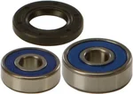 All Balls Racing 25-1191 Drive Wheel Bearing Kit - Durable, High-Performance Replacement for Powersports Vehicles