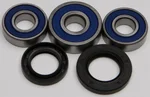 All Balls Racing Drive Wheel Bearing Kit - High-Durability, Precision-Engineered for Powersports Vehicles