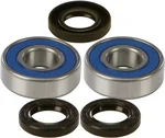 All Balls Racing 25-1219 Drive Wheel Bearing Kit - Durable, High-Performance Replacement for Powersports Vehicles