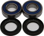 All Balls Racing Drive Wheel Bearing Kit - Durable, High-Performance, 25-1223