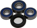 All Balls Racing Drive Wheel Bearing Kit - High Performance, Durable, Easy Installation
