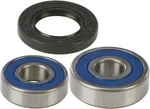 ALL BALLS Racing Drive Wheel Bearing Kit - Heavy-Duty Precision-Machined for Unmatched Performance