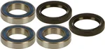 All Balls Racing 25-1250 Drive Wheel Bearing Kit - High-Durability Replacement for ATVs & UTVs