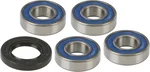 All Balls Racing Drive Wheel Bearing Kit - Durable, High-Performance Replacement for Powersports Vehicles