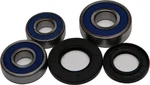 All Balls Racing Drive Wheel Bearing Kit - Durable, High-Performance Replacement for Powersports Vehicles