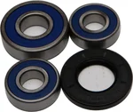 ALL BALLS - 25-1270 - All Balls Wheel Bearing Kits