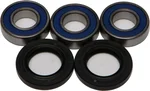 All Balls Racing 25-1271 Drive Wheel Bearing Kit - Durable, High-Performance Racing Bearings