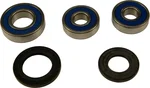 All Balls Racing High-Performance Drive Wheel Bearings Kit - Durable ATV/UTV Replacement