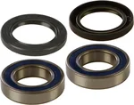 All Balls Racing 25-1313 Drive Wheel Bearing Kit - High-Performance Racing Bearings