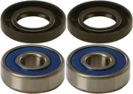 All Balls Racing 25-1317 Drive Wheel Bearing Kit - Durable, High-Performance Replacement for Powersports Vehicles