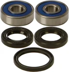 All Balls Racing 25-1319 Drive Wheel Bearing Kit - High-Performance Durable Racing Bearings