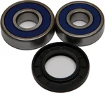 All Balls Racing 25-1342 Drive Wheel Bearing Kit - High-Durability Replacement for Powersports Vehicles