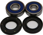 All Balls Racing 25-1343 Drive Wheel Bearing Kit - High-Durability Replacement for Powersports Vehicles
