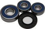 ALL BALLS - 25-1347 - All Balls Wheel Bearing Kits