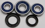 All Balls Racing 25-1355 Drive Wheel Bearing Kit - High-Durability Racing Bearings for Powersports Vehicles