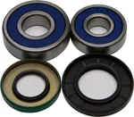 All Balls Racing 25-1357 Drive Wheel Bearing Kit - Durable, High-Performance Replacement for Powersports Vehicles