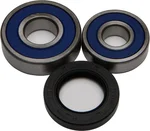 All Balls Racing Drive Wheel Bearing Kit - High Performance, Durable, Easy Installation