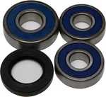All Balls Racing 25-1362 Drive Wheel Bearing Kit - Durable, High-Performance Racing Bearings