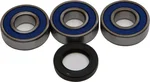 All Balls Racing 25-1370 Drive Wheel Bearing Kit - Durable, High-Performance Replacement