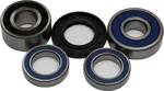All Balls Racing Drive Wheel Bearing Kit - High-Performance Replacement for Powersports Vehicles