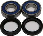 All Balls Racing 25-1389 Wheel Bearing Kit - High-Performance Drive Kit for Powersports Vehicles