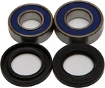 All Balls Racing 25-1395 Drive Wheel Bearing Kit - Durable Chrome Steel Bearings for Enhanced Performance