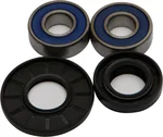 All Balls Racing Drive Wheel Bearing Kit - Durable, High-Performance, 25-1421