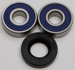 All Balls Racing 25-1439 Drive Wheel Bearing Kit - High-Durability, Low-Maintenance Racing Bearings