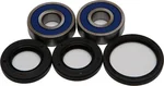 All Balls Racing 25-1448 Drive Wheel Bearing Kit - Durable, High-Performance Racing Bearings