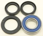 All Balls Racing 25-1462 Lower Steering Bearing Kit - Corrosion-Resistant Suspension Component for ATVs & UTVs