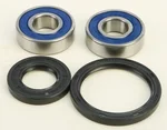 All Balls Racing Drive Wheel Bearing Kit - High Performance, Durable, Easy Installation
