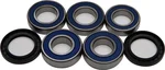 All Balls Racing Drive Wheel Bearing Kit - High-Performance, Durable, Precision-Machined