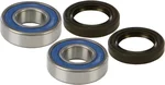 All Balls Racing 25-1510 Drive Wheel Bearing Kit - High-Performance Replacement for Powersports Vehicles