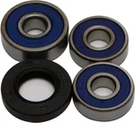 All Balls Racing 25-1517 Drive Wheel Bearing Kit - Durable, High-Performance Replacement for Powersports Vehicles