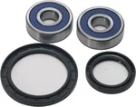 All Balls Racing 25-1585 Drive Wheel Bearing Kit - High-Durability Racing Bearings for Powersports Vehicles