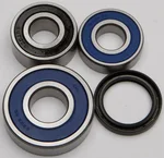 All Balls Racing 25-1588 Drive Wheel Bearing Kit - Durable, High-Performance Racing Bearings