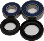 All Balls Racing 25-1613 Drive Wheel Bearing Kit – Durable, Low Maintenance, High Performance for Powersports