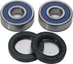 All Balls Racing 25-1662 Drive Wheel Bearing Kit - High-Performance Racing Bearings for Unmatched Durability