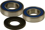 All Balls Racing 25-1667 Drive Wheel Bearing Kit - High-Performance Replacement for Powersports Vehicles
