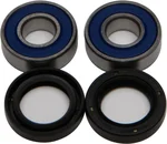 All Balls Racing 25-1670 Drive Wheel Bearing Kit - High-Durability Racing Bearings for Unmatched Performance