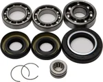 All Balls Racing 25-2001 Differential Bearing & Seal Kit - High-Performance Drive System Replacement