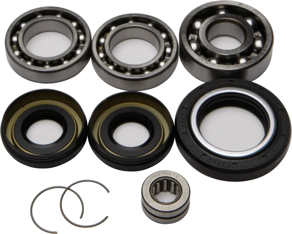 All Balls Racing 25-2001 Differential Bearing & Seal Kit - High-Performance Drive System Replacement