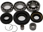 All Balls Racing 25-2003 Differential Bearing & Seal Kit - Durable, High-Performance Kit for Off-Road Vehicles