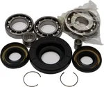 All Balls Racing 25-2004 Differential Bearing & Seal Kit - High-Performance Drive System Replacement