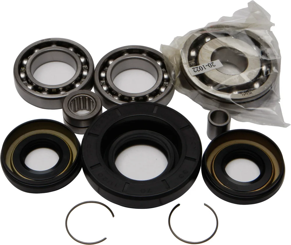 All Balls Racing 25-2004 Differential Bearing & Seal Kit - High-Performance Drive System Replacement