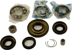 All Balls Racing 25-2006 Differential Bearing & Seal Kit - High-Performance Drive System Replacement
