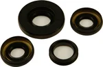 All Balls Racing Drive Differential Seal Kit - High-Performance Leak-Proof Replacement